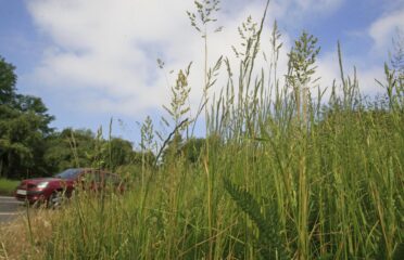 blog-grid-1-410x308